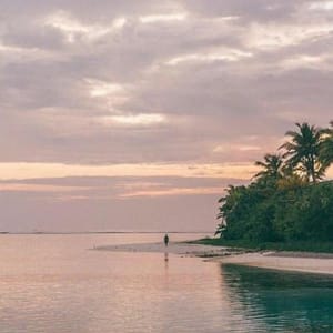 Ảnh đại diện người dùng Anika